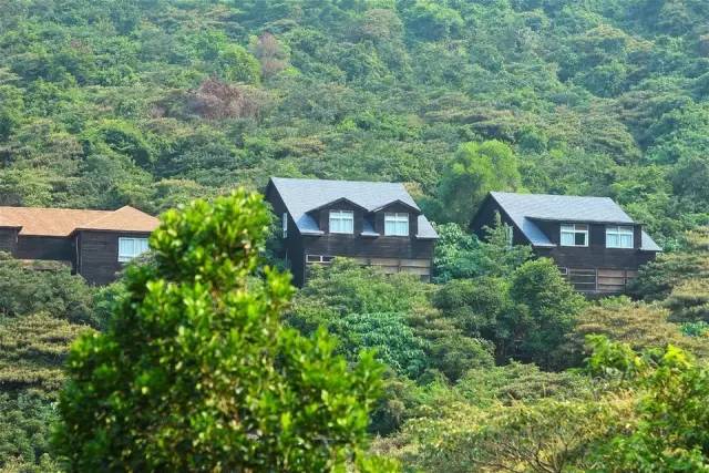 深圳生活家家居装饰工程有限公司怎么样