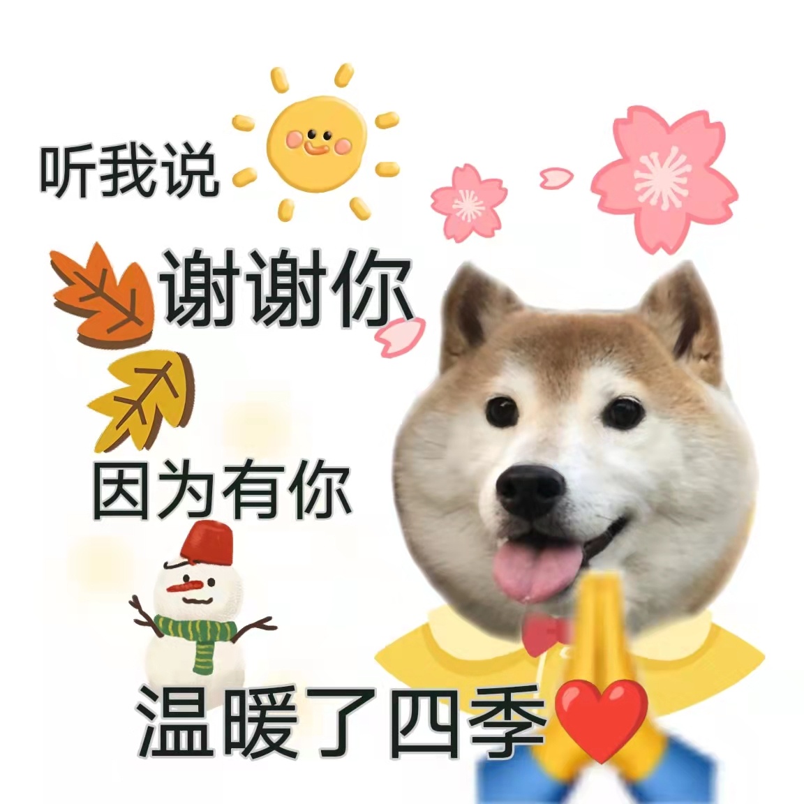 专业别墅装璜公司都有哪些可以选用啊