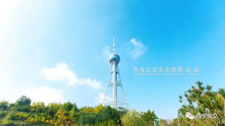 青海东城装璜工程有限公司